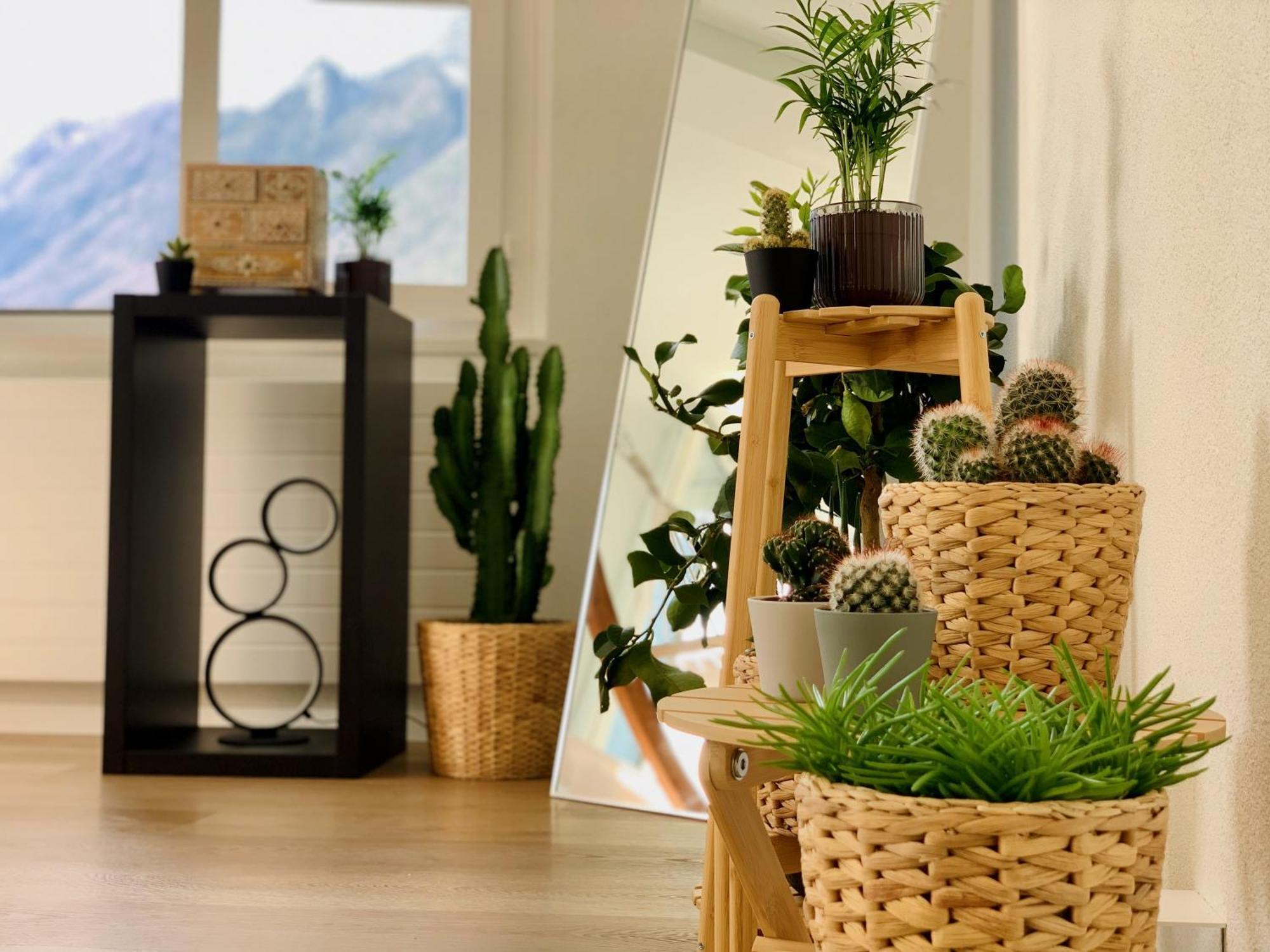 Apartament Eva O Wellnessoasis O Montainview O Pizzaoven O Ingenbohl Zewnętrze zdjęcie